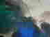 item-131683464=2