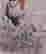 item-131683468=4