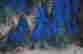item-131683477=3
