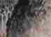 item-131683483=10