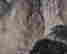item-131683483=3