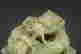 item-131683488=8