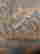 item-131683525=5