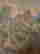 item-131683525=7