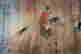 item-131683526=9