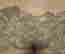 item-131683528=14