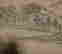 item-131683528=15