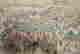 item-131683529=6