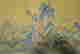 item-131683530=5
