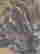 item-131683532=9