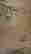 item-131683535=8