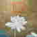item-131683537=2