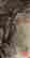 item-131683587=7