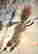 item-131683647=4