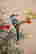 item-131683654=3