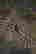 item-133113196=7