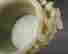 item-134390110=12