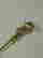 item-115086246=6