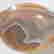 item-118036799=4