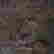 item-118036857=5