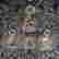 item-118036859=4