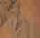 item-118036934=3