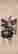 item-118037034=2