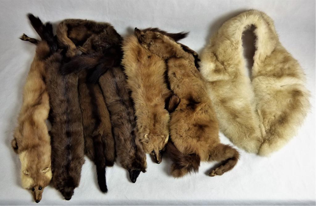 Mink Fur and Fox Collar: Lot of Mink Fur and Fox Collar. Condition: good