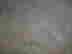 item-111703235=5