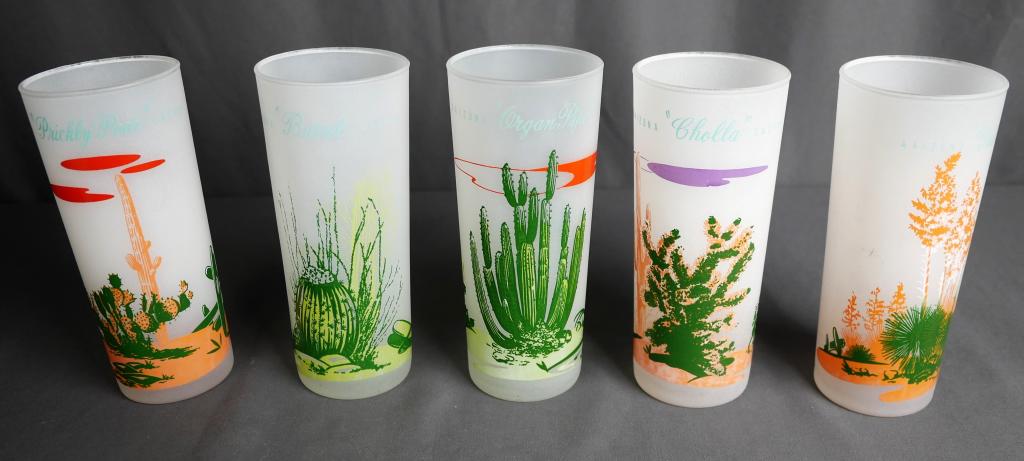 Five Piece MCM Arizona Cactus Glass Set (1 of 6)