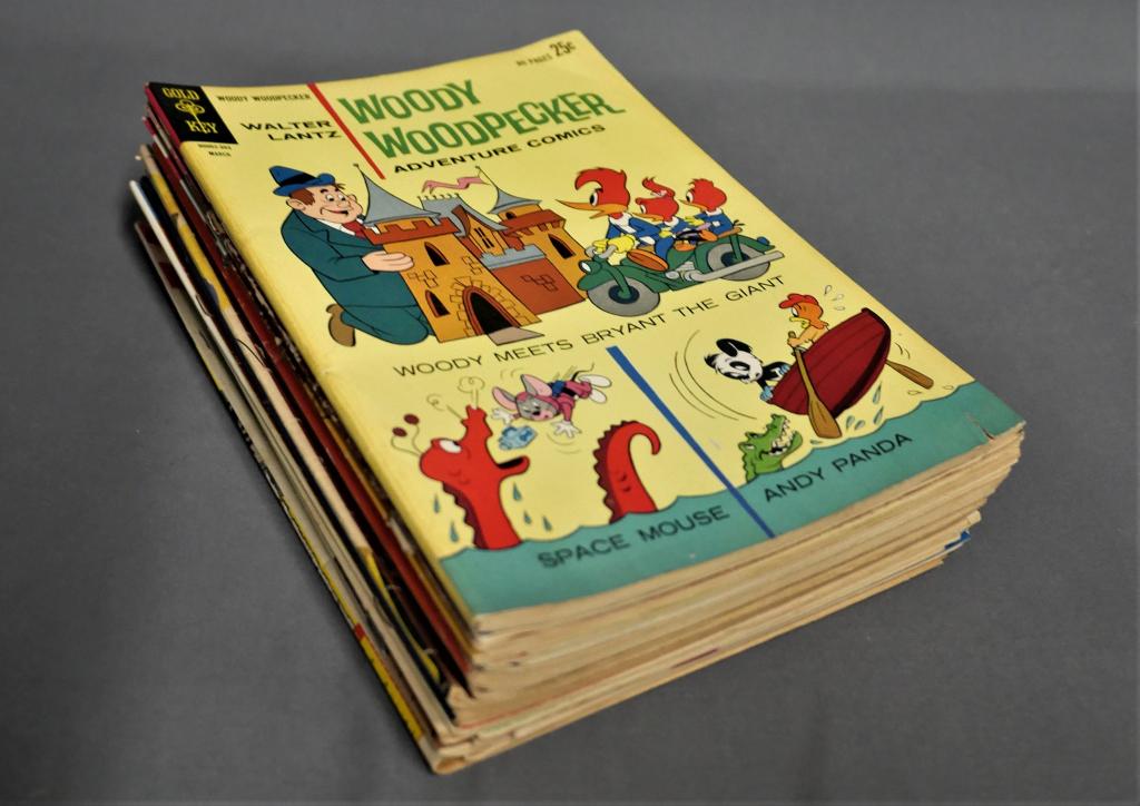 Vintage Walt Disney Comic Books- Donald Duck, Wood (1 of 4)