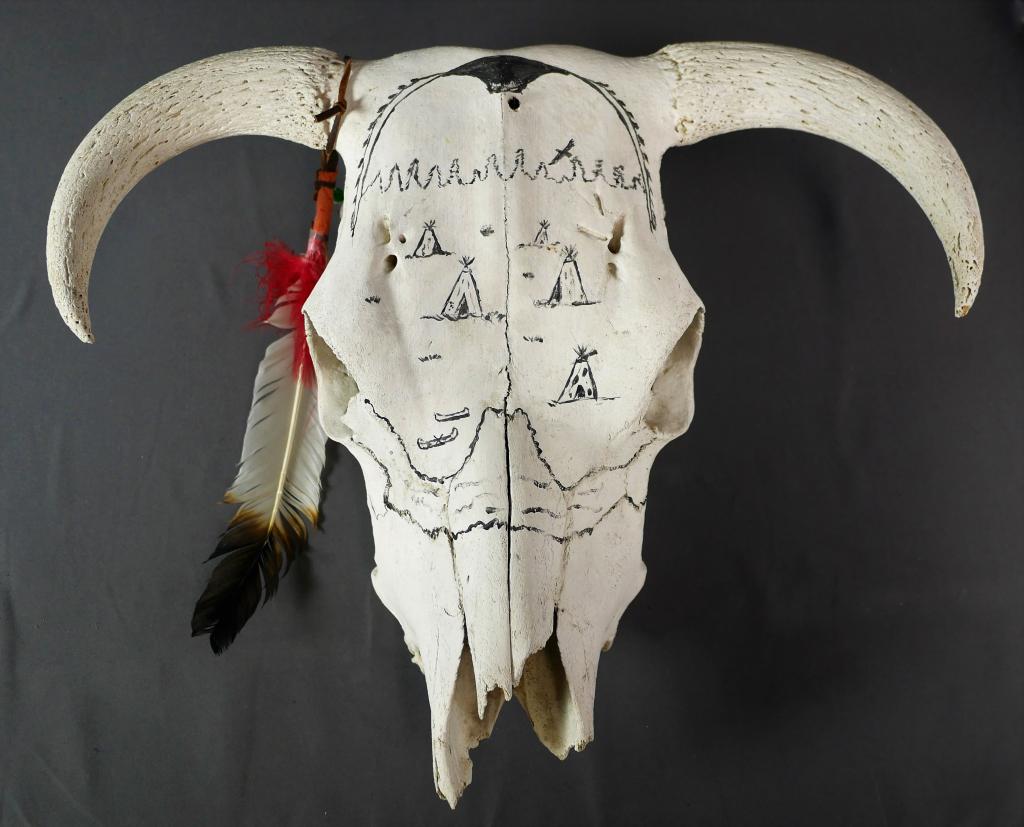Native American Painted Cow/ Bison Scull (1 of 4)