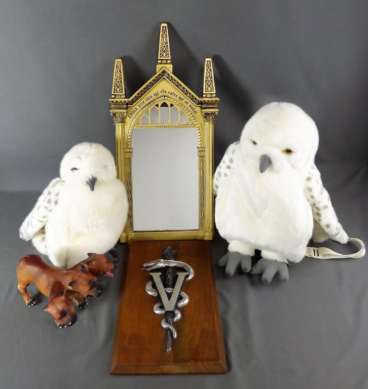 Harry Potter Mirror, Valdemort Plaque, Owl Backpac (1 of 7)