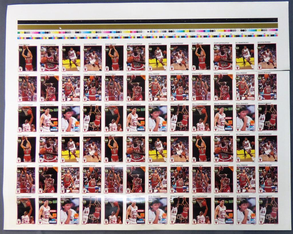 1991 NBA Chicago Bulls Cards Uncut Sheet- Jordan (1 of 5)