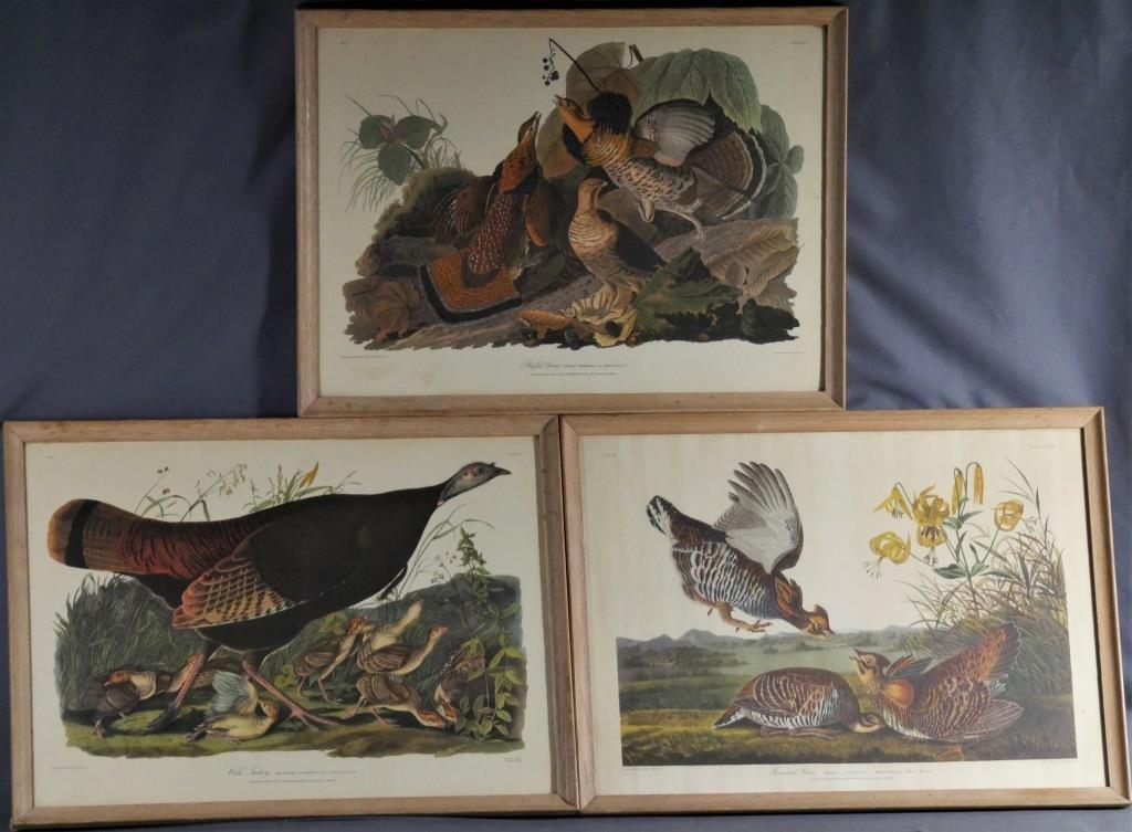 JJ Audubon- 3 Antique Grouse Bird Litho Prints (1 of 7)