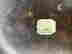 item-134103311=7