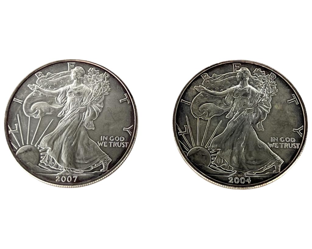 Two US Silver Eagle Dollar Coins- 2004 & 2007 (1 of 2)