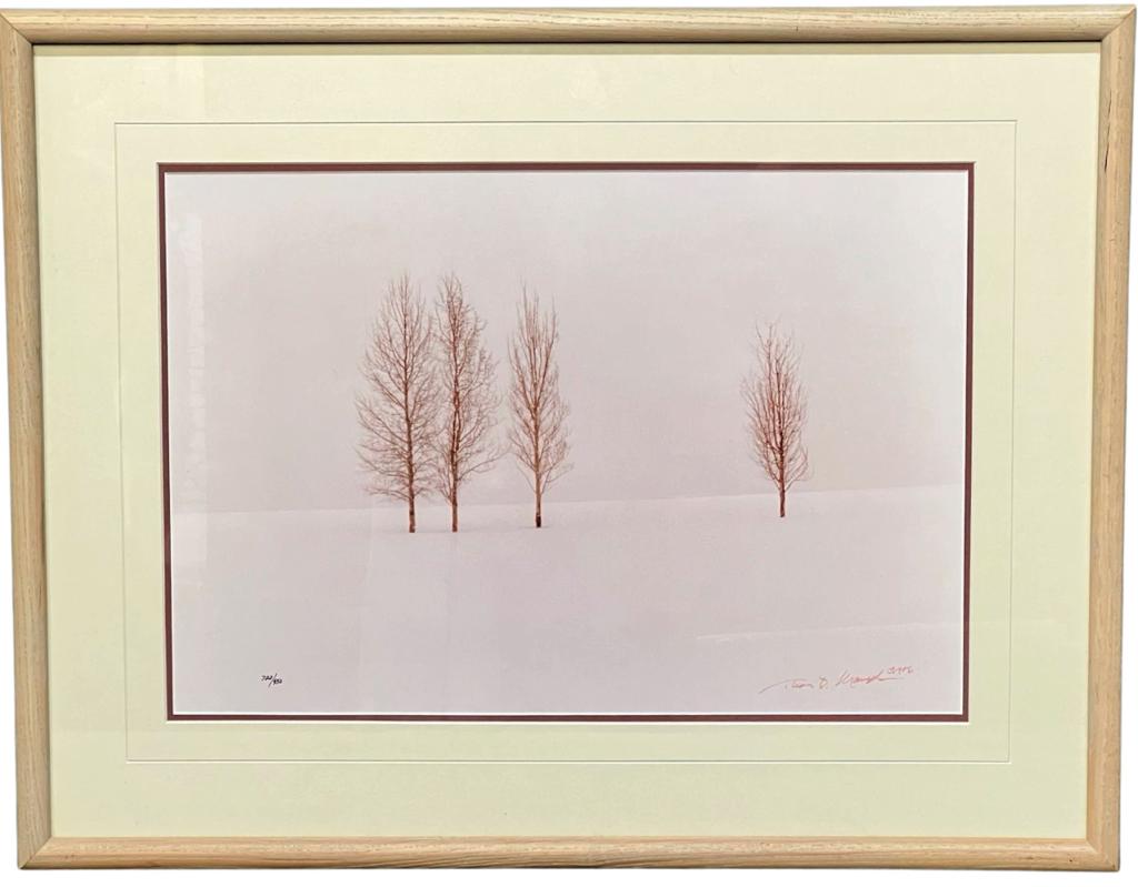 Thomas D. Mangelsen LE Signed Aspens Photograph: Thomas D. Mangelsen (20th Century, American). "Winter Aspens" Limited Edition Hand Signed Photograph. Signed lower right corner, #722 out of 950. Dated 1986. Measures 21" x 27" framed. Good Condition.