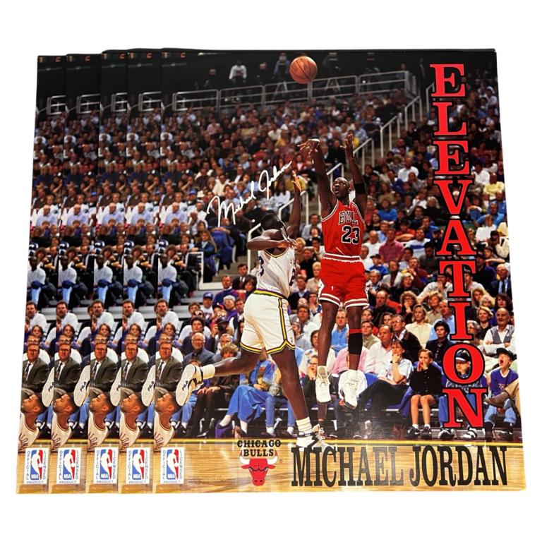 5 Michael Jordan "Elevation" '90's 16x20 Posters (1 of 2)