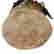 item-137546048=12