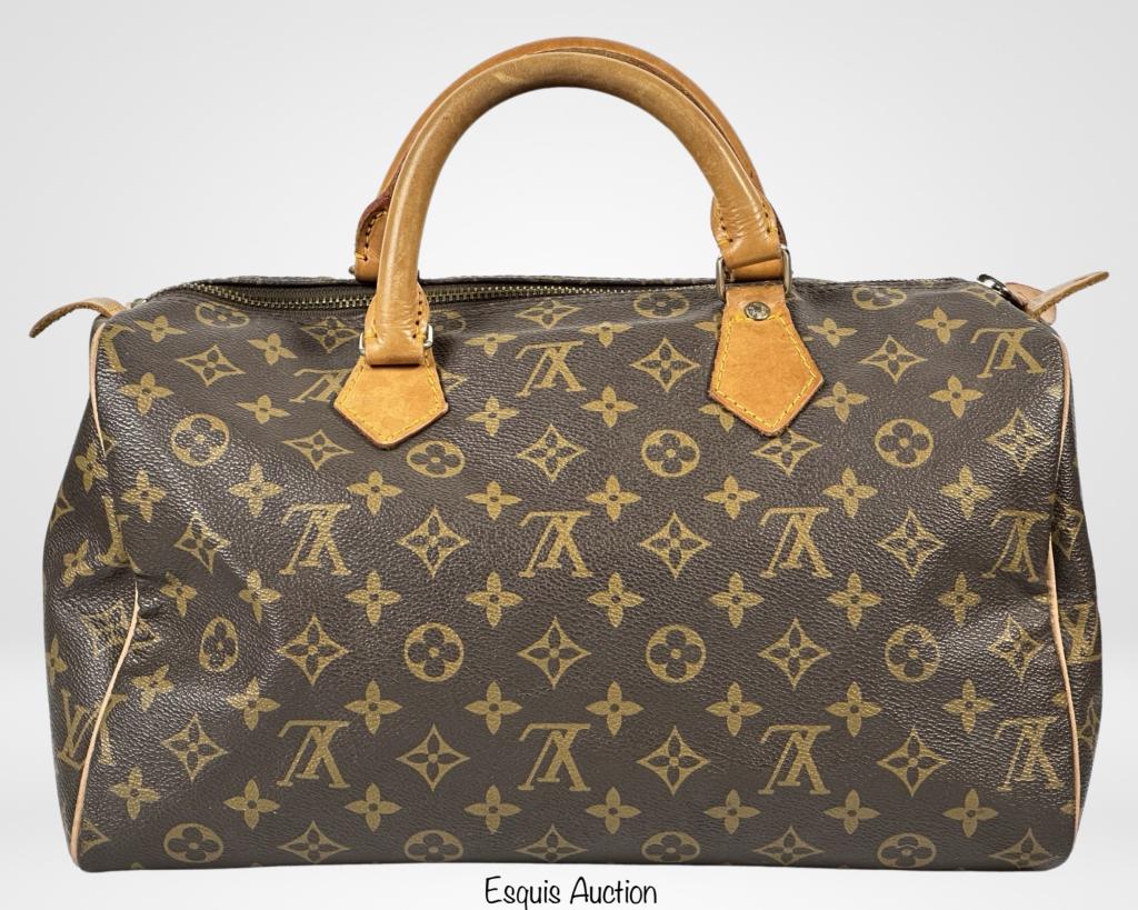 Louis Vuitton Speedy Handbag/ Travel Satchel/ Bag (1 of 10)