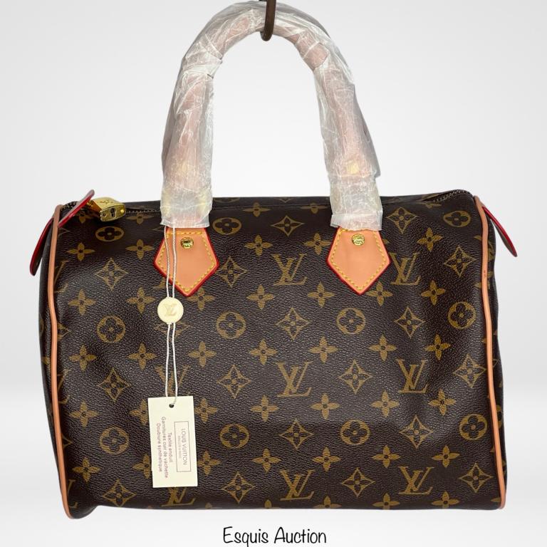 Louis Vuitton Speedy Hobo Bag/  Satchel (1 of 6)
