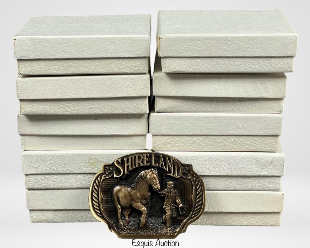 Lot of Solid Bronze Shireland Belt Buckles (1 of 3)