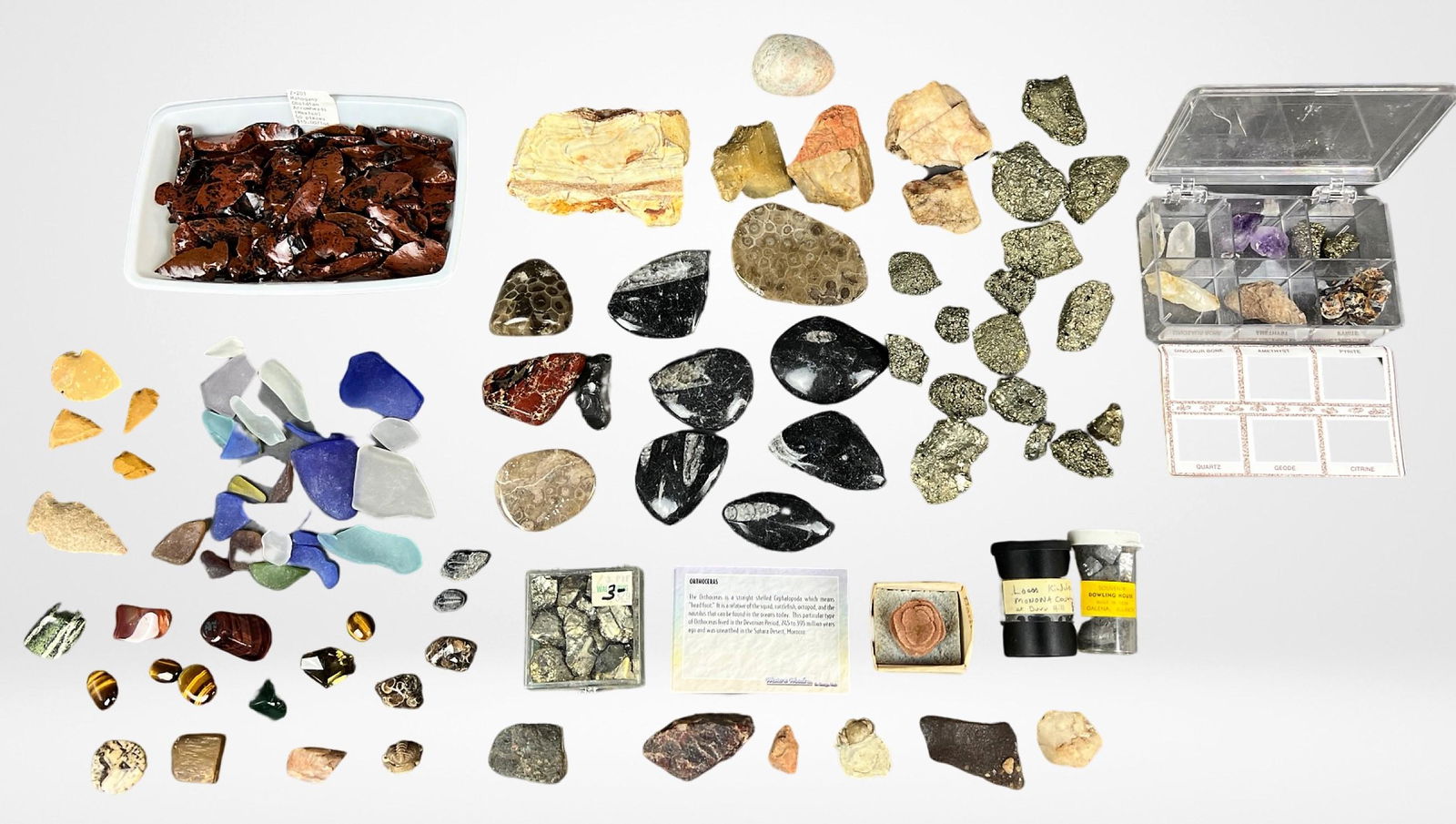 Rocks, Stones & Fossils- Obsidian Arrowheads (1 of 5)