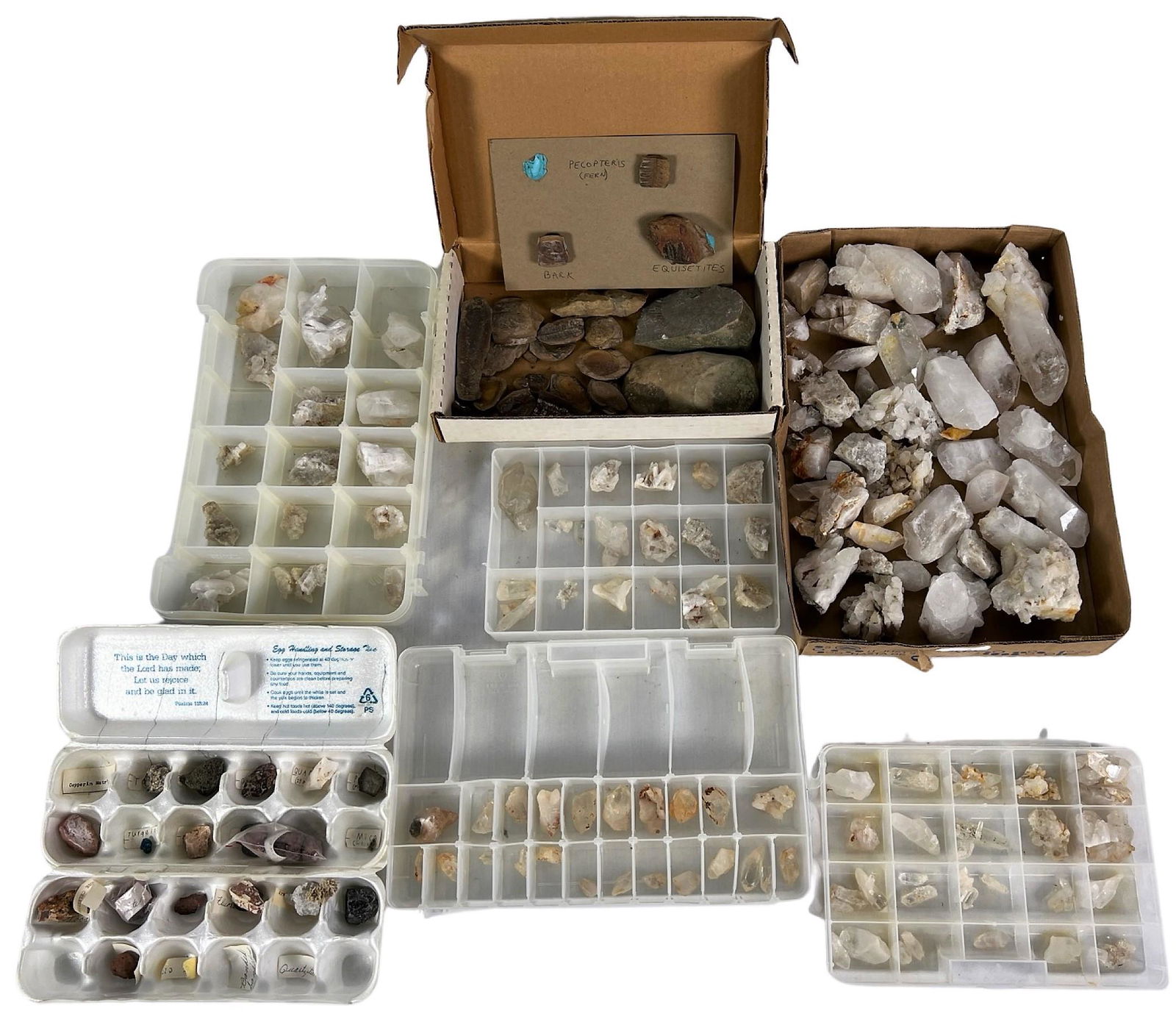Rocks, Stones, Minerals & Fossils Collection: Rocks, Stones, Minerals & Fossils Collection