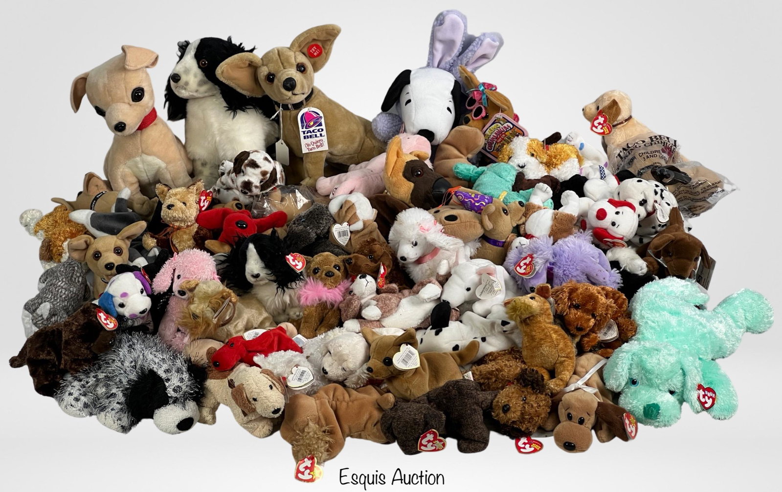 Huge Lot of Vintage TY Beanie Babies- All Dogs: Huge Lot of Vintage mostly TY Beanie Babies- All Dogs. All appear to be in good condition.