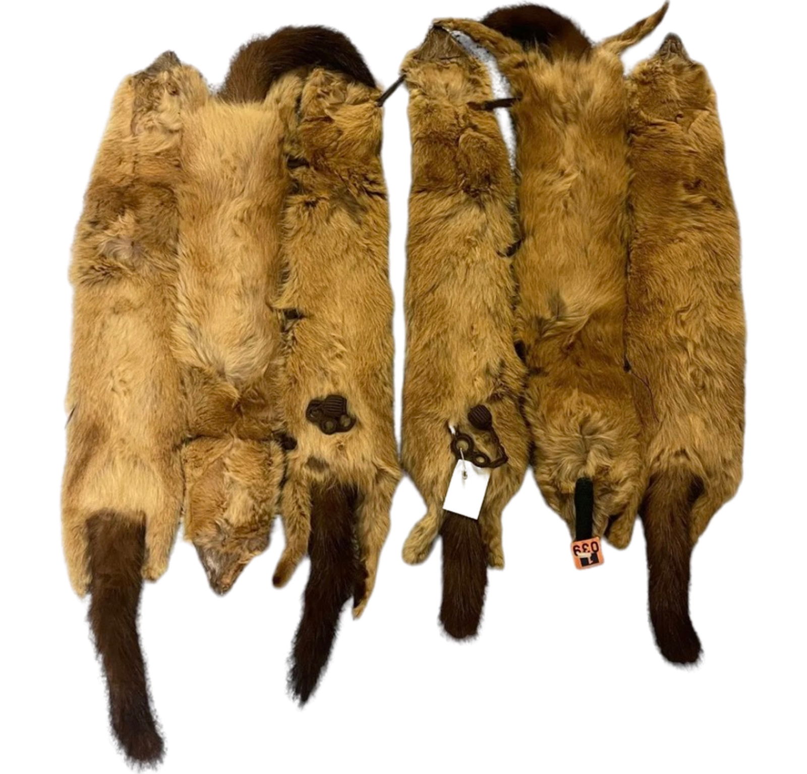 MINK FUR COLLAR SCARF WRAP 6 FULL BODY: VTG GENUINE MINK FUR COLLAR SCARF WRAP 6 FULL BODY PELTS W/CLIP-Rice Lake Wi.Good Condition,Size 23x20 Inches.READ BEFORE BIDDING: Esquis Auction does not have specialists on designer clothes, shoes,