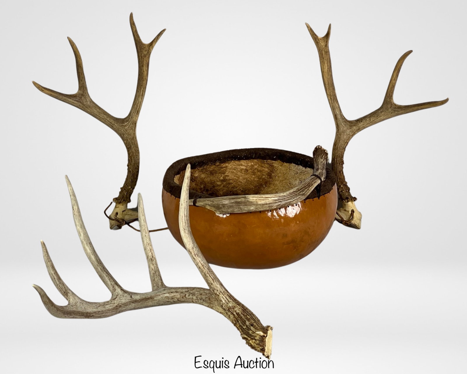 Native American Gourd Basket & Deer Antlers: Experience the rich heritage of Native American craftsmanship with this captivating gourd basket adorned with an antler handle. Measuring 12 inches in diameter, the basket showcases the intricate arti