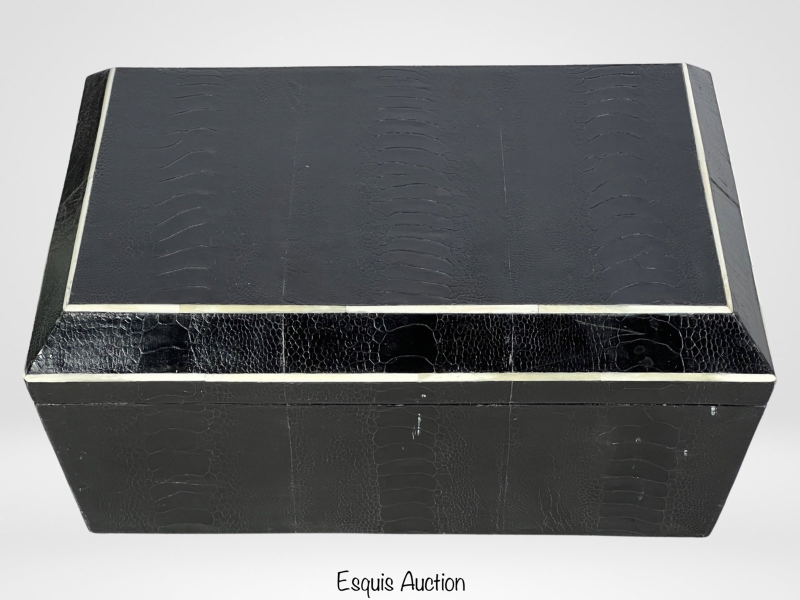 R&Y Augousti Paris Leather Bound Jewelry Box: Elevate your jewelry storage with the exquisite R&Y Augousti Paris Leather Bound Jewelry Box. This 13x10x6 masterpiece seamlessly combines functionality and elegance. The luxurious leather exterior ex