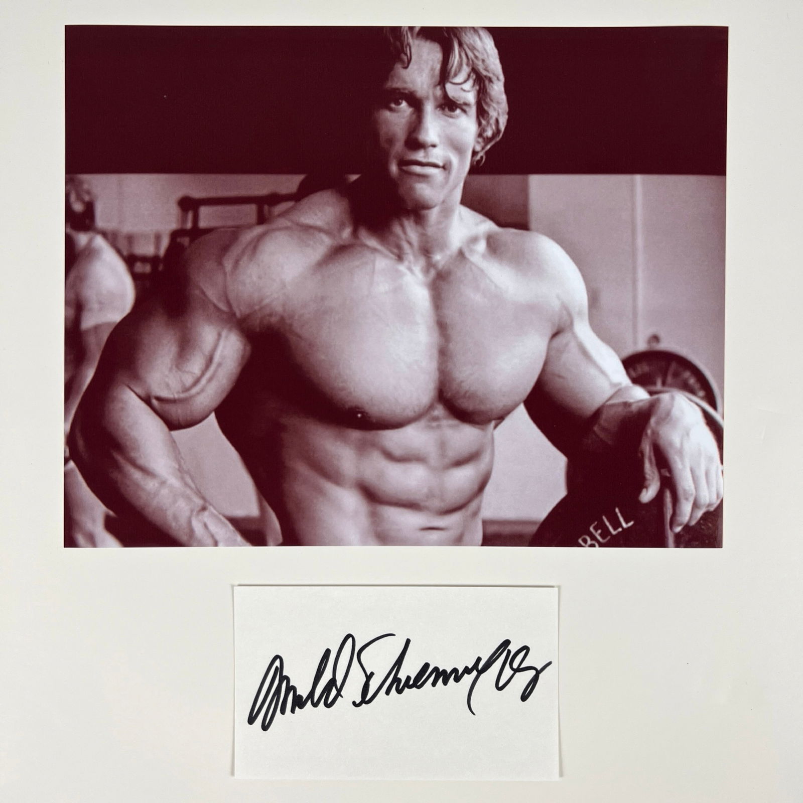 Arnold Schwarzenegger Autograph/ Signature W Photo Auction